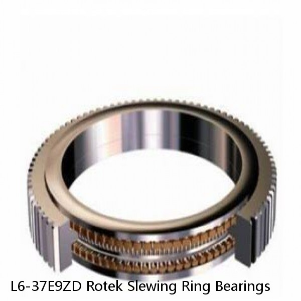 L6-37E9ZD Rotek Slewing Ring Bearings