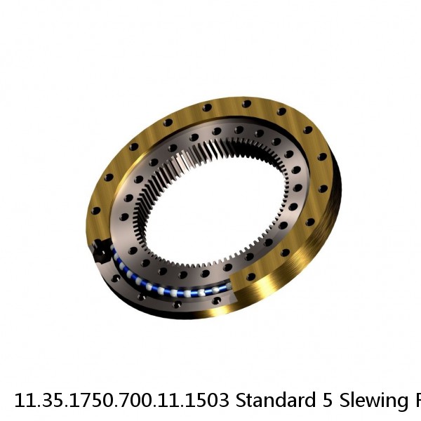 11.35.1750.700.11.1503 Standard 5 Slewing Ring Bearings
