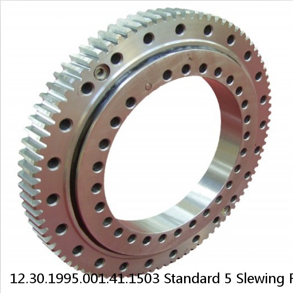12.30.1995.001.41.1503 Standard 5 Slewing Ring Bearings