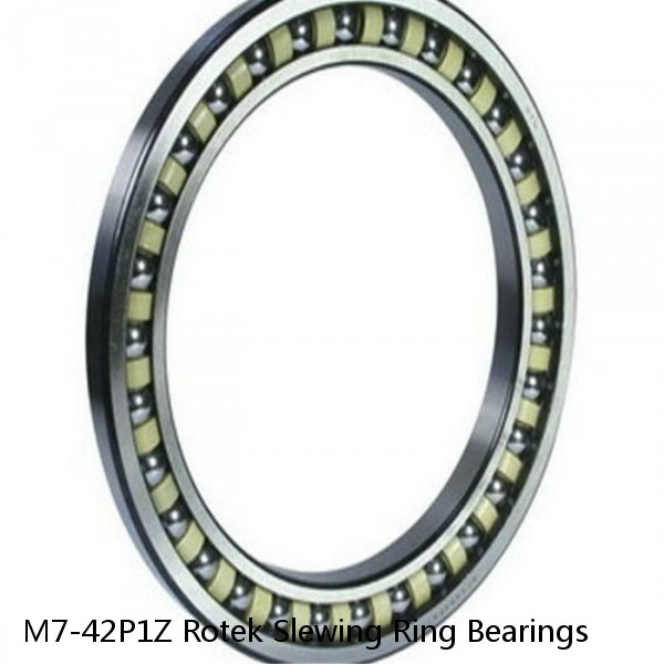 M7-42P1Z Rotek Slewing Ring Bearings