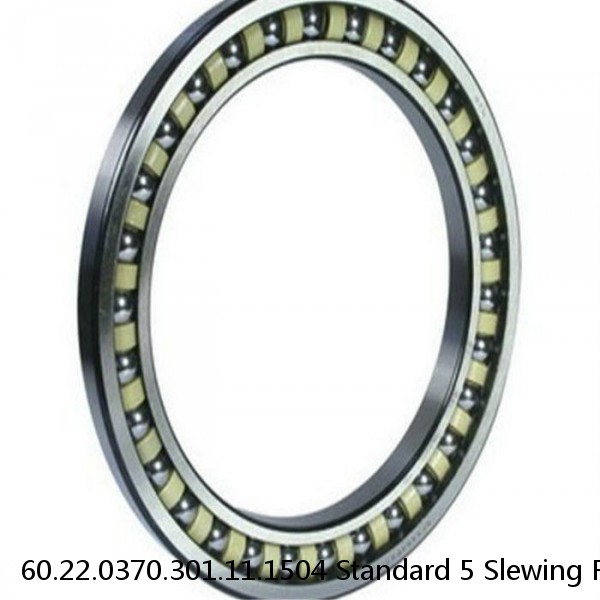 60.22.0370.301.11.1504 Standard 5 Slewing Ring Bearings