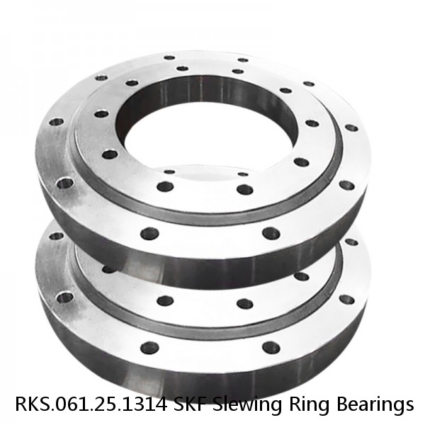 RKS.061.25.1314 SKF Slewing Ring Bearings