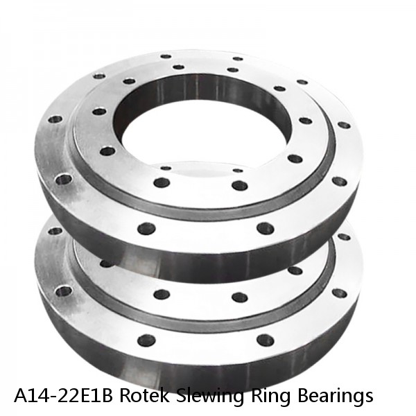 A14-22E1B Rotek Slewing Ring Bearings