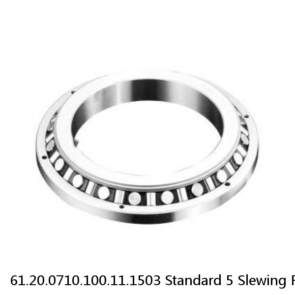 61.20.0710.100.11.1503 Standard 5 Slewing Ring Bearings