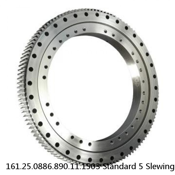 161.25.0886.890.11.1503 Standard 5 Slewing Ring Bearings