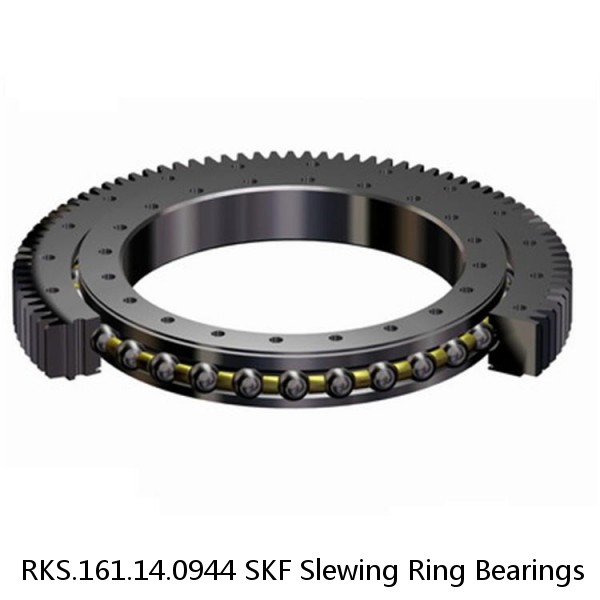 RKS.161.14.0944 SKF Slewing Ring Bearings