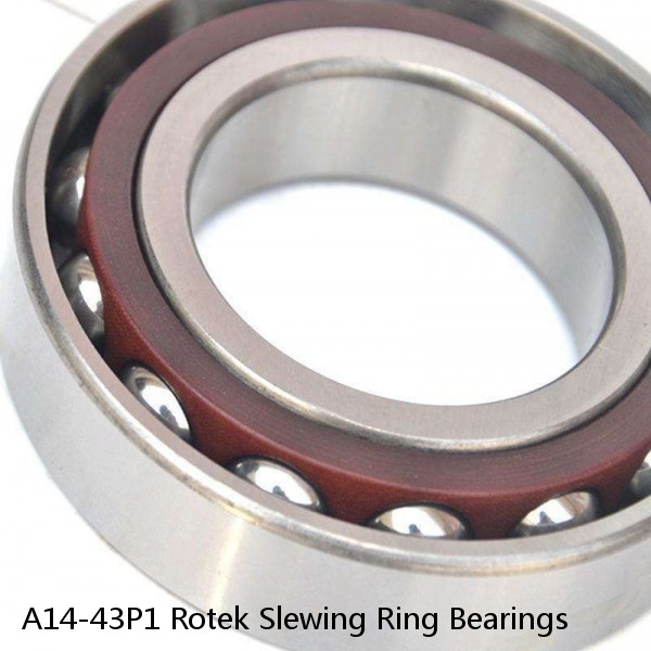 A14-43P1 Rotek Slewing Ring Bearings