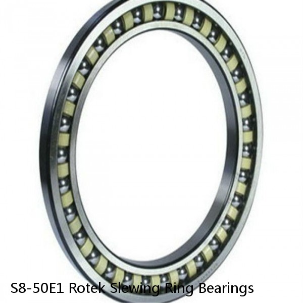 S8-50E1 Rotek Slewing Ring Bearings