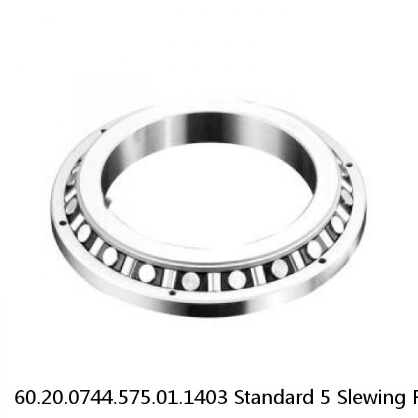 60.20.0744.575.01.1403 Standard 5 Slewing Ring Bearings