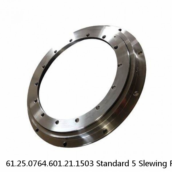 61.25.0764.601.21.1503 Standard 5 Slewing Ring Bearings