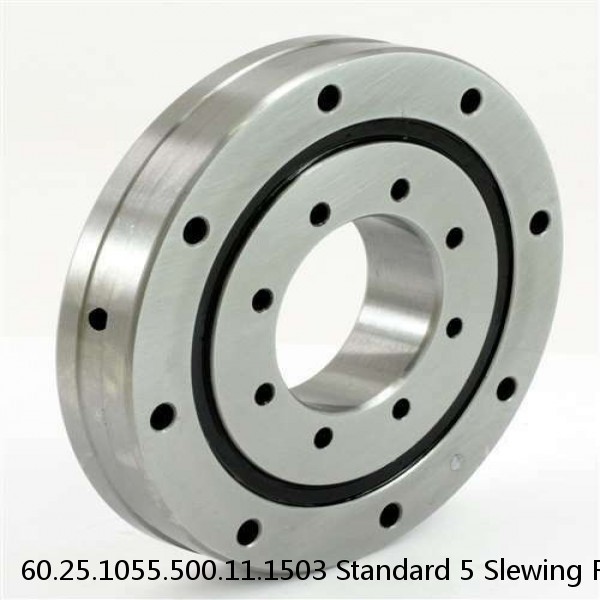 60.25.1055.500.11.1503 Standard 5 Slewing Ring Bearings