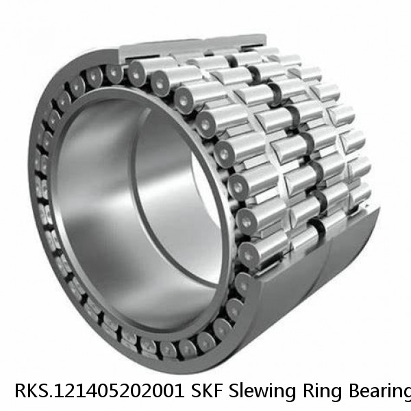 RKS.121405202001 SKF Slewing Ring Bearings