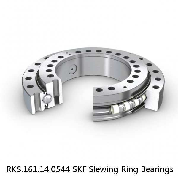 RKS.161.14.0544 SKF Slewing Ring Bearings