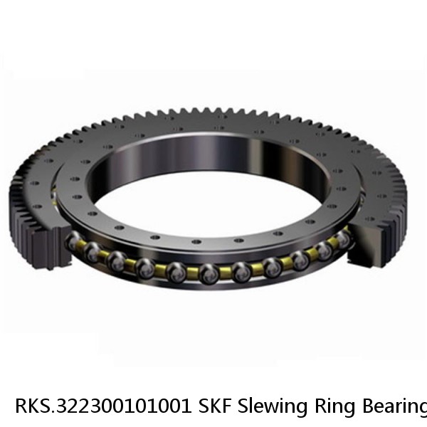 RKS.322300101001 SKF Slewing Ring Bearings