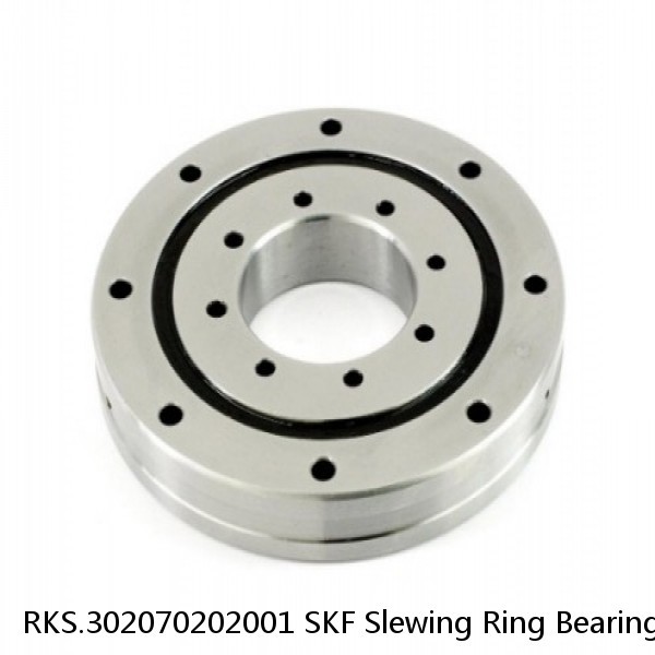 RKS.302070202001 SKF Slewing Ring Bearings