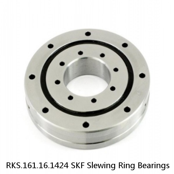 RKS.161.16.1424 SKF Slewing Ring Bearings