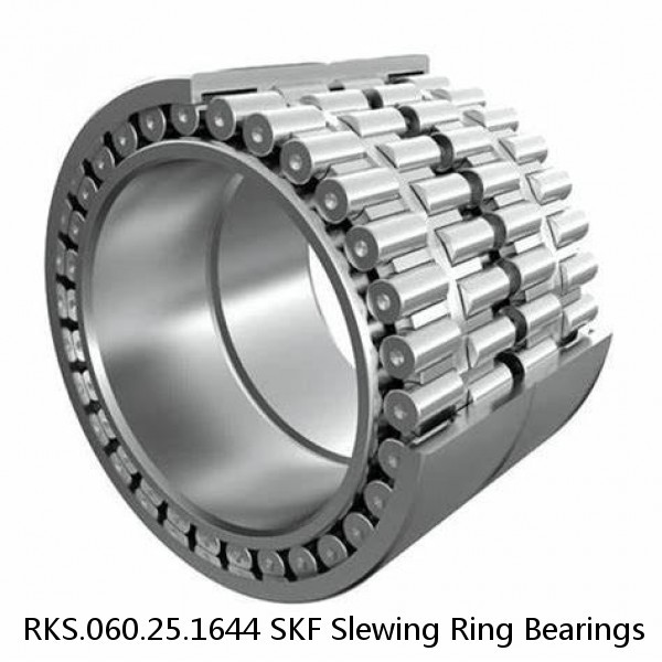 RKS.060.25.1644 SKF Slewing Ring Bearings