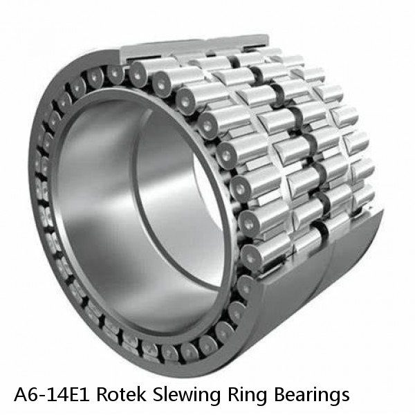 A6-14E1 Rotek Slewing Ring Bearings