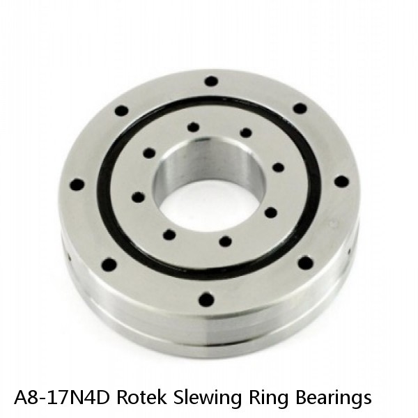 A8-17N4D Rotek Slewing Ring Bearings