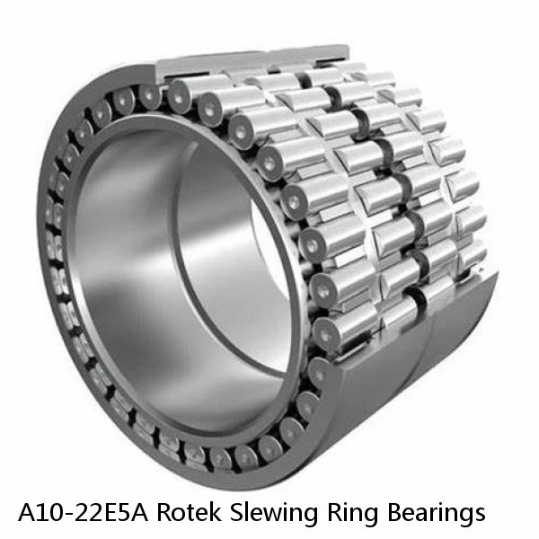 A10-22E5A Rotek Slewing Ring Bearings