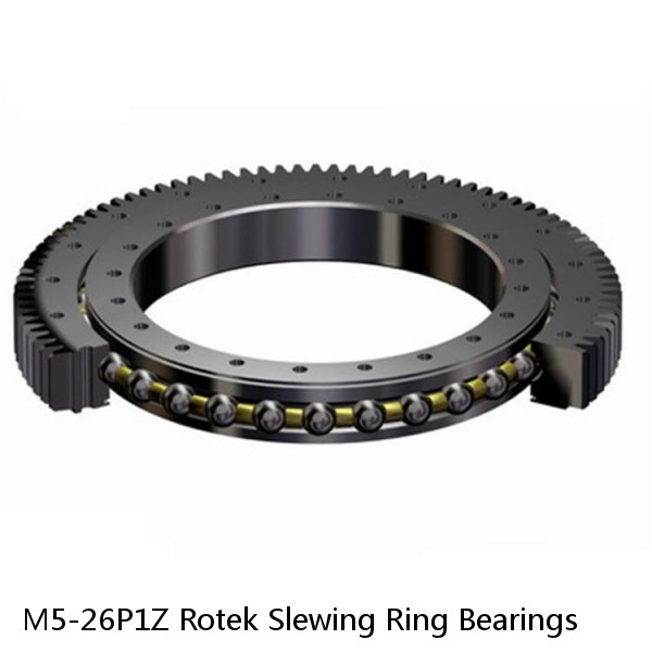 M5-26P1Z Rotek Slewing Ring Bearings