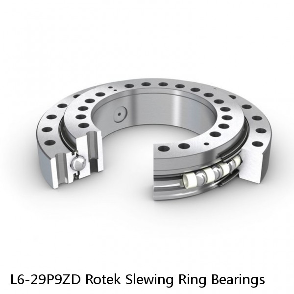 L6-29P9ZD Rotek Slewing Ring Bearings