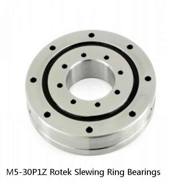 M5-30P1Z Rotek Slewing Ring Bearings