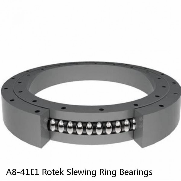 A8-41E1 Rotek Slewing Ring Bearings