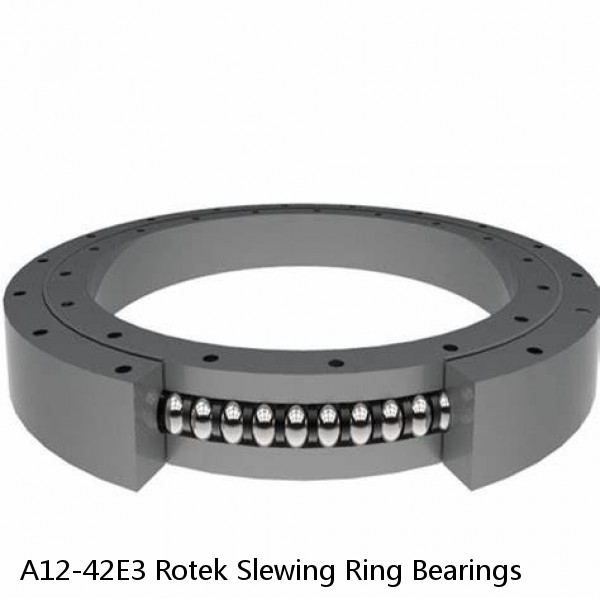 A12-42E3 Rotek Slewing Ring Bearings