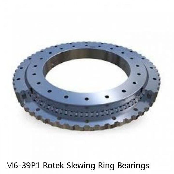 M6-39P1 Rotek Slewing Ring Bearings