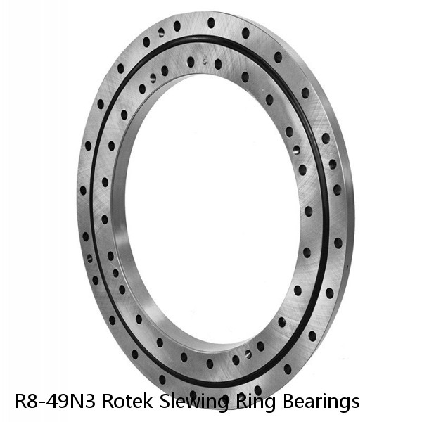 R8-49N3 Rotek Slewing Ring Bearings