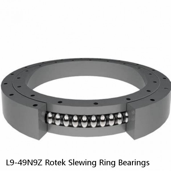 L9-49N9Z Rotek Slewing Ring Bearings