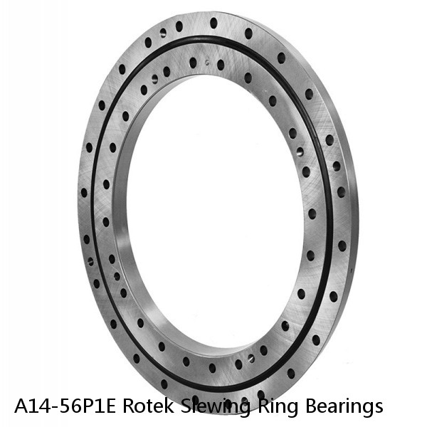 A14-56P1E Rotek Slewing Ring Bearings