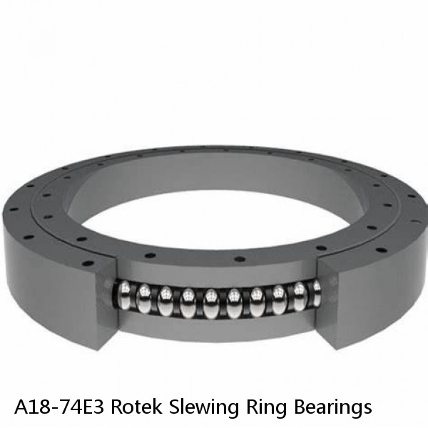 A18-74E3 Rotek Slewing Ring Bearings