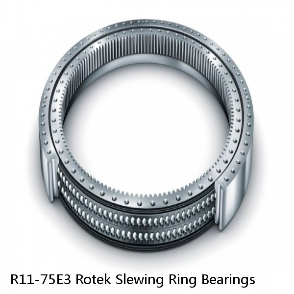 R11-75E3 Rotek Slewing Ring Bearings