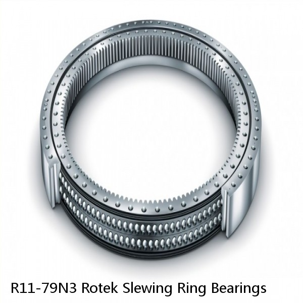 R11-79N3 Rotek Slewing Ring Bearings