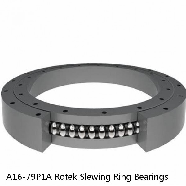 A16-79P1A Rotek Slewing Ring Bearings