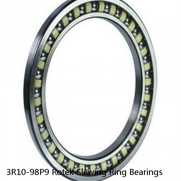 3R10-98P9 Rotek Slewing Ring Bearings