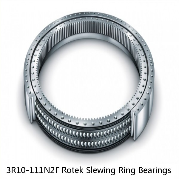 3R10-111N2F Rotek Slewing Ring Bearings