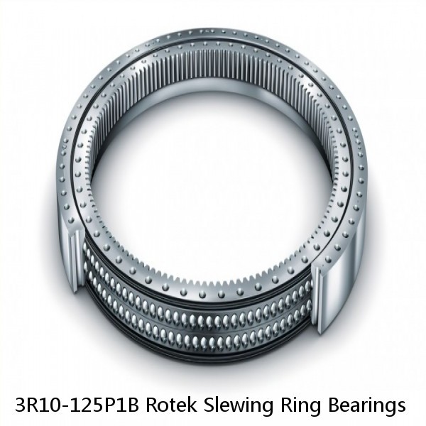 3R10-125P1B Rotek Slewing Ring Bearings