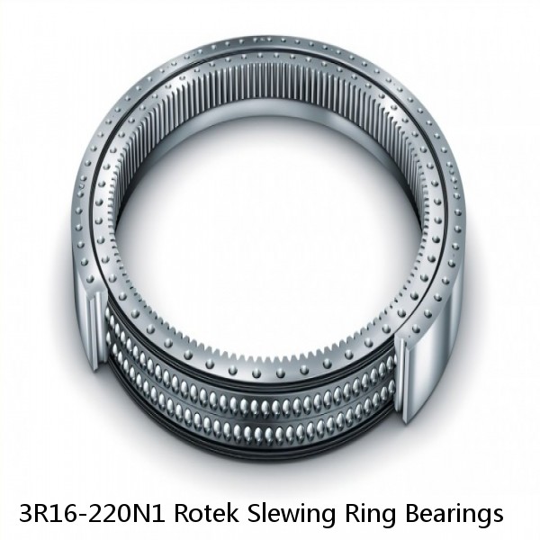 3R16-220N1 Rotek Slewing Ring Bearings