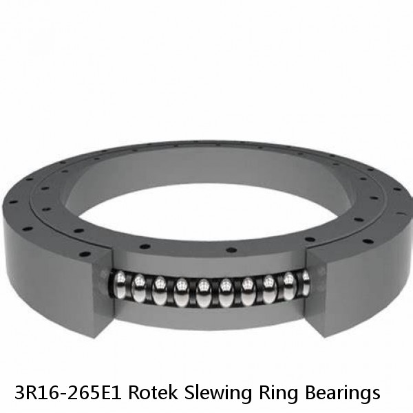 3R16-265E1 Rotek Slewing Ring Bearings