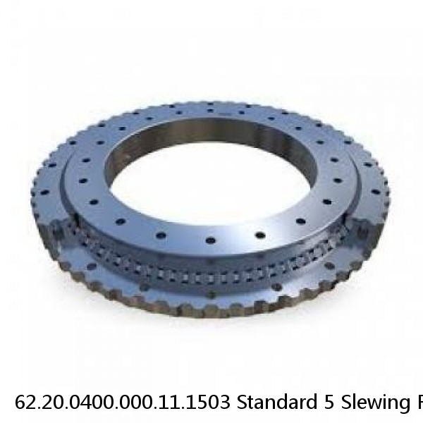 62.20.0400.000.11.1503 Standard 5 Slewing Ring Bearings