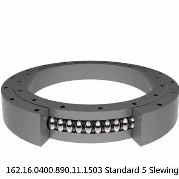 162.16.0400.890.11.1503 Standard 5 Slewing Ring Bearings