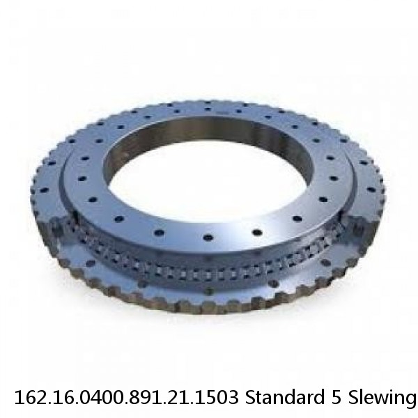 162.16.0400.891.21.1503 Standard 5 Slewing Ring Bearings