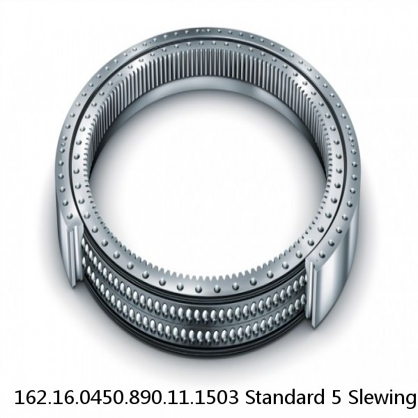 162.16.0450.890.11.1503 Standard 5 Slewing Ring Bearings