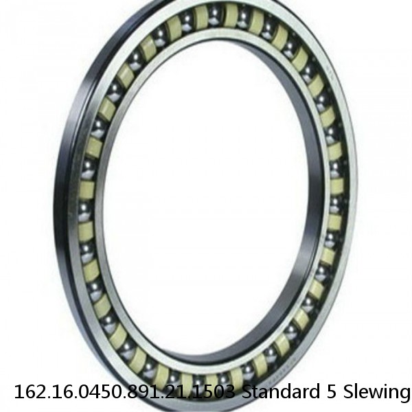 162.16.0450.891.21.1503 Standard 5 Slewing Ring Bearings