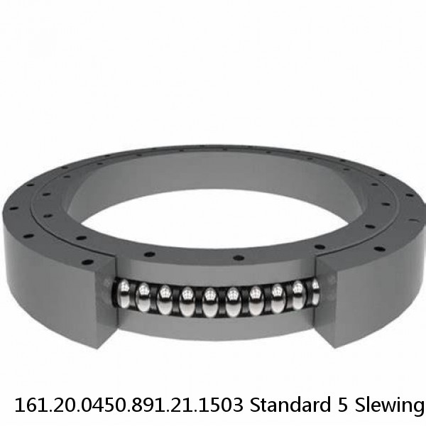 161.20.0450.891.21.1503 Standard 5 Slewing Ring Bearings