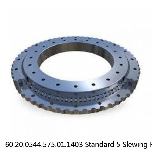 60.20.0544.575.01.1403 Standard 5 Slewing Ring Bearings