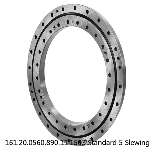 161.20.0560.890.11.1503 Standard 5 Slewing Ring Bearings